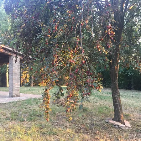 Gasthof I Lecci